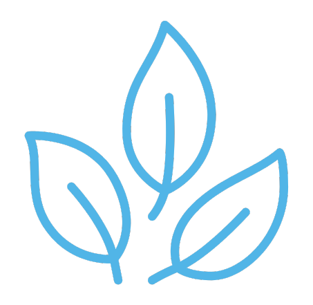 nature leaves